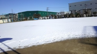 DSC_4955.JPG