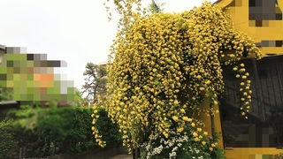 BeautyPlus_20250426123010531_save.jpg