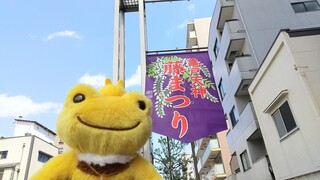 DSC_6746~2.JPG