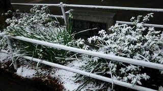 DSC_6864.JPG