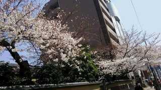 DSC_7272.JPG