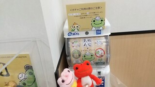 DSC_7606~2.JPG