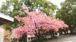 DSC_7624~2.JPG