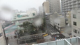 DSC_7669~3.JPG