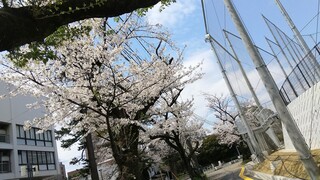 DSC_7726~3.JPG