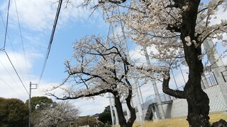 DSC_7729~2.JPG