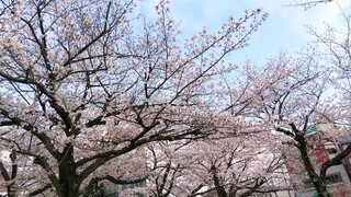 DSC_7746~2.JPG