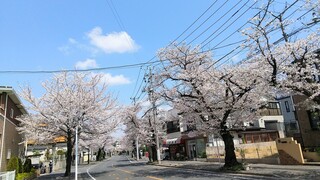 DSC_7767~2.JPG