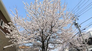 DSC_7768~2.JPG