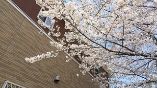 DSC_7769~2.JPG